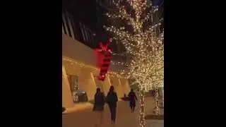 Last Christmas 🎶