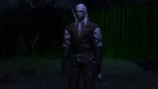 The witcher - 1 Глава Начало часть 1 ( Тяжелый уровень)
