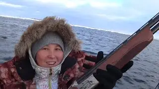 On a sea animal hunt. Day one.