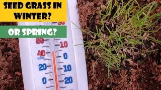 Dormant Seeding vs Spring Seeding ~ Not An Easy Decision