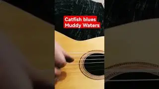 Catfish blues/ Muddy Waters / шиховка стандарт