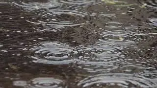 Rain Drops on Street - No Copyright Videos - Free Stock Footage