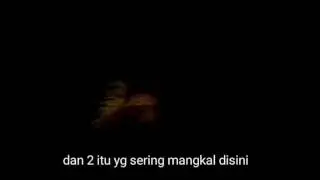 Vlog #4 nggudo banci 😂