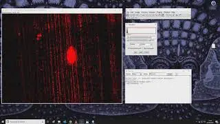 Sample ImageJ Macro #4