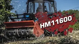 Расчистка территории с мульчером