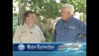 Water Harvesting with a Rain Barrel
