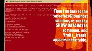 How to DROP USER in MySQL ~ Video #3
