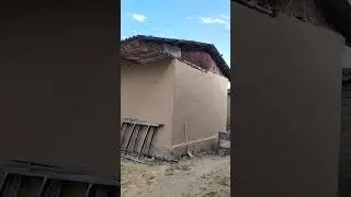 Ховлида ўзгаришлар бўлди