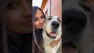 НИКОГДА НЕ ЗАВОДИ АЛАБАЯ, ЕСЛИ…