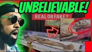 Most Disturbing and Scary TikTok's: Creepiest Discoveries