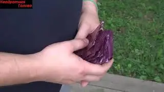 Видео задержания. Торговцы спайсом