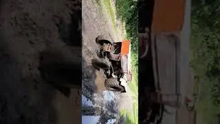 универсал 445v