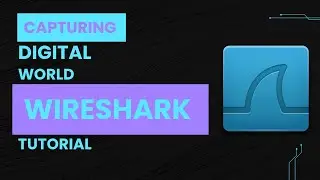Wireshark Tutorial for Beginners: Capture Your First Network Traffic
