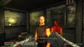 Elder Scrolls Oblivion you have the hands of a healer