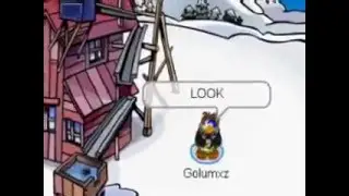 we made it club penguin