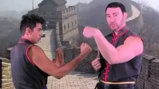 Learn Wing Chun's Fook Sau in One Minute | Sifu Tei