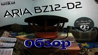 Обзор сабвуфера ARIA BZ12-D2