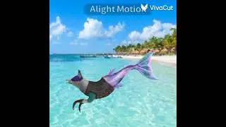 Wcmv (Читайте описание)