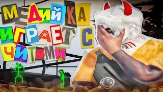 МЕДИА ИГРАЕТ С ЧИТАМИ НА MAJESTIC GTA 5 RP