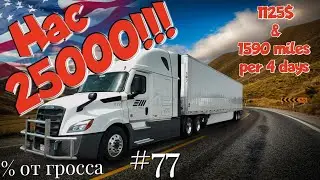 Нас 25000! Дальнобой по США. % от гросса. Зарплата дальнобойщика в Америке!  #77