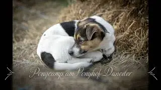 Das Leben ist ein Ponyhof - Ponycamp