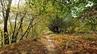 Красивая осеняя велопокатушка