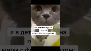 жиза?