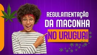 Experiência Internacional