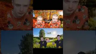 Пов: Гуляйте с другом #рек #мем #мелстройврек