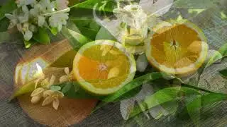 Neroli