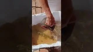 Baby's Sauna Ritual - Daugmale, Latvia (Short)