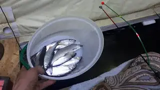 Битва Блогеров, Рыбалка На Рипуса Озеро Инголь.