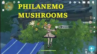 More 20+ Philanemo Mushroom Locations | Genshin Impact
