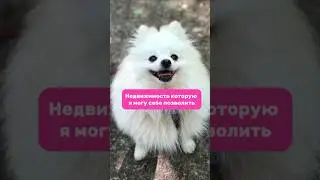 Почему у меня нет квартиры. spitzland тг. 