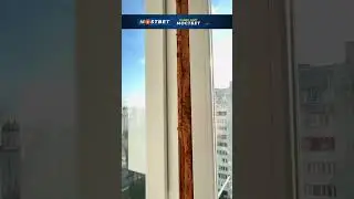 СЛАБЕНЬКИЙ ПОДОКОННИК