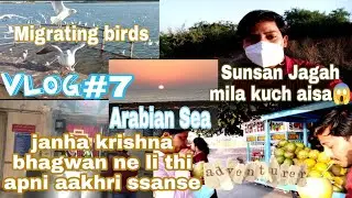 #Vlog7 | Somnath | Migrated Birds | Krishna bhagwan Ki Samadhi-Geeta Mandir | Sunset In Arabian Sea