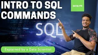 SQL COMMANDS INTRO | What I Learned in Grad School This Week