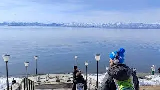 :) финальный сивуч