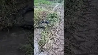 Clever way to clean out a Culvert ! Tips and tricks Life Hacks