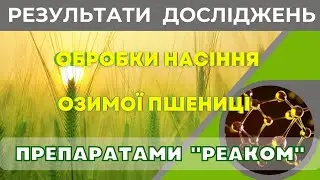 Інкрустація  насіння - дієвий спосіб підвищення прибутку