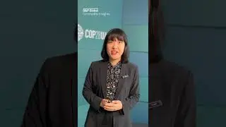 At #COP28, we are closely watching #US-#China relations as both countries set out to collaborate.