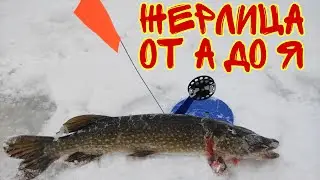#жерлицы #щука #ловлянаживца
Как правильно оснастить жерлицы