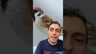 UNO DEI PIU' GRANDI FALLIMENTI DELLA STORIA ! QUESTA VOLTA IN CINA ......