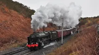 The Best of Mainline Steam 2014