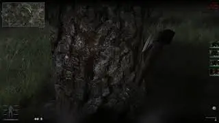 stalker anomaly EFP + Desolation - Axe combo