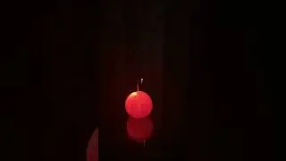 Светящиеся мандарин🍊