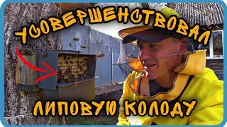 ТЕПЕРЬ МЁДА В КОЛОДЕ ДОЛЖНО БЫТЬ БОЛЬШЕ. КОЛОДНЫЙ МЁД.