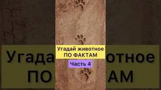 УГАДАЙ ЖИВОТНОЕ ПО ФАКТАМ. Часть 4