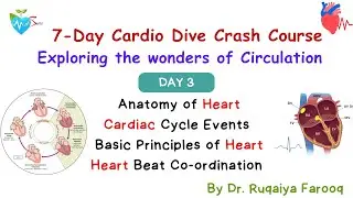 Day 3 Physiology crash course on Circulation by Dr Ruqaiya Medsparkles