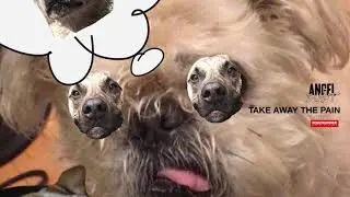 Angel Du$t - Take Away The Pain